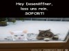 weiter