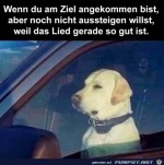 Ich-bleib-noch-sitzen.jpg auf www.funpot.net