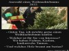 weiter