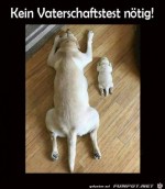 Kein-Test-ntig.jpg auf www.funpot.net