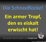Die-Schneeflocke.jpg auf www.funpot.net