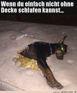 Ohne-Decke-geht-nichts.jpg auf www.funpot.net