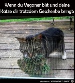 Nette-Katze.jpg auf www.funpot.net