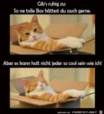Tolle-Box.jpg auf www.funpot.net