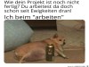 weiter