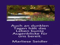 Auch an dunklen Tagen