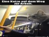 weiter
