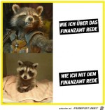 ber-und-mit-dem-Finanzamt-reden.jpg auf www.funpot.net