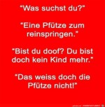 Die-Pftze.jpg auf www.funpot.net