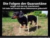 weiter