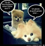 Ob-die-verrueckten-schon-Online-sind.jpg auf www.funpot.net