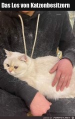berall-Katzenhaare.jpg auf www.funpot.net