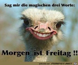 Morgen-ist-Freitag.jpg auf www.funpot.net