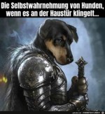Selbstwahrnehmung-von-Hunden.jpg auf www.funpot.net