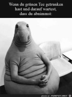 Grnen-Tee-getrunken.jpg auf www.funpot.net