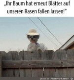 Bltter-auf-dem-Rasen.jpg auf www.funpot.net