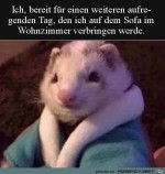 Tag-auf-der-Couch.jpg auf www.funpot.net