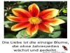 weiter