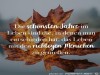 weiter