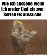Beim-Eis-bestellen.jpg auf www.funpot.net