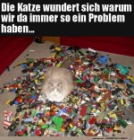 Lego-ist-der-Katze-egal.jpg auf www.funpot.net