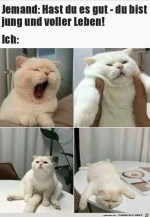 Du-bist-jung-und-fit.jpg auf www.funpot.net