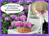 weiter