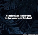 Malediven.jpg auf www.funpot.net