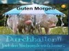 weiter
