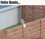Fette-Beute-gemacht.jpg auf www.funpot.net