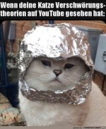 Aluhut-Katze.jpg auf www.funpot.net