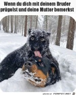 Mutter-sieht-dich.jpg auf www.funpot.net