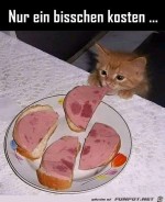 Nur-ein-bisschen-probieren.jpg auf www.funpot.net