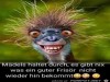 weiter