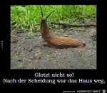 Glotz-nicht-so-.jpg auf www.funpot.net