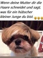 toller-Haarschnitt.jpg auf www.funpot.net