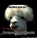 Lg-mich-nicht-an.jpg auf www.funpot.net
