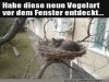 weiter