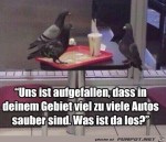 Zu-viele-saubere-Autos.jpg auf www.funpot.net