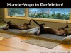 weiter