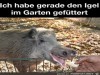 weiter