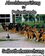 Abschlussprfung.jpg auf www.funpot.net