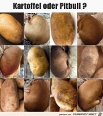 Schwer-zu-erkennen.jpg auf www.funpot.net