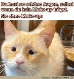 Schne-Augen.jpg auf www.funpot.net