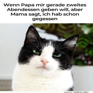 fun-Bild: Wenn du beim Abendessen doppelt abr&auml;umen willst