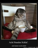 Immer-noch-mde.jpg auf www.funpot.net
