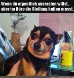 Schn-die-Fassung-bewahren.jpg auf www.funpot.net