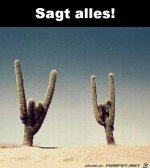 Dem-ist-nichts-hinzuzufgen.jpg auf www.funpot.net