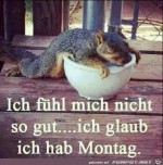 Montag.jpg auf www.funpot.net