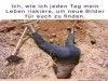 weiter